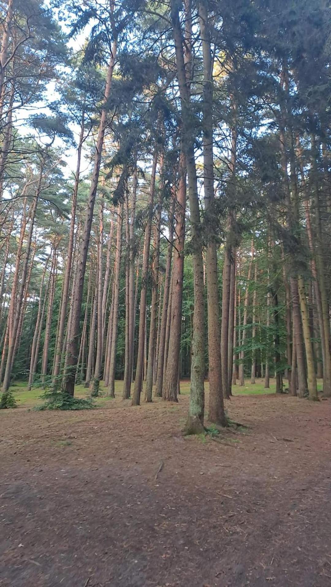 Apartment Baltic D5 *